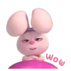 Conejo rosado 9