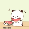 Pandita  Mov 15