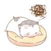 《HAMSTER CUTE MOVIM》 14