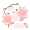 《HAMSTER CUTE MOVIM》 16