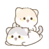 Lovely Cat MiaoMOV 20