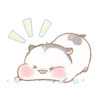 《HAMSTER CUTE MOVIM》 17