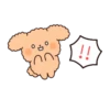 Cute Animals 4 MOV 21