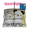 Buenas Noches mov 21