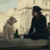 🖤CRUELLA [2021] DISNEY MOV❤️ 26