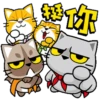 喵╰meow in chinese╮喵 Mov 24