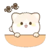 Lovely Cat MiaoMOV 24