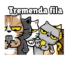 Gatico 3 Mov 5