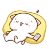 MOCHIS CAT Extra"C" MOV 8