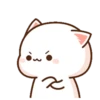 MOCHIS CAT Extra"A" MOV 6