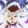 DragonBallSuper 8