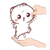 Wen, the small meow Mov 9