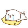 MOCHIS CAT Extra"A" MOV 9