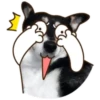 PERRO Y GATO MOV 9