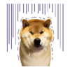 Responde como perro  Mov 8