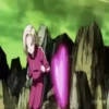 DragonBallSuper 12