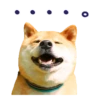 Responde como perro  Mov 10