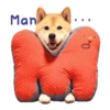 Responde como perro  Mov 12