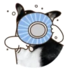 PERRO Y GATO MOV 10
