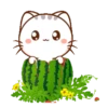 Wen, the small meow Mov 14