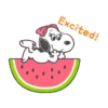 SNOOPY 1. mov 13