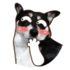 PERRO Y GATO MOV 12