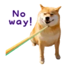 Responde como perro  Mov 14