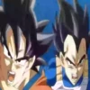 DragonBallSuper 14