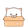 MOCHIS CAT Extra"A" MOV 11