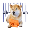Responde como perro  Mov 15
