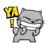 Gatico 3 Mov 15