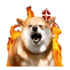 Responde como perro  Mov 16
