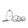 SNOOPY 5 mov. 18