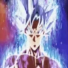 DragonBallSuper 17