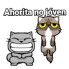 Gatico 3 Mov 18