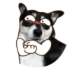 PERRO Y GATO MOV 19