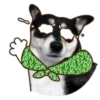 PERRO Y GATO MOV 22