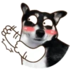 PERRO Y GATO MOV 23