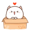 MOCHIS CAT Extra"A" MOV 15