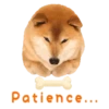Responde como perro  Mov 18