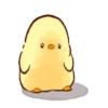 🌈Pollito Kawaii🐥Mov. 22