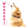 Responde como perro  Mov 19