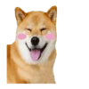 Responde como perro  Mov 20