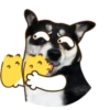 PERRO Y GATO MOV 26
