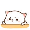 MOCHIS CAT Extra"A" MOV 17