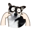 PERRO Y GATO MOV 27
