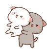 MOCHIS CAT Extra"A" MOV 19