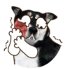 PERRO Y GATO MOV 28