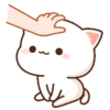 MOCHIS CAT Extra"C" MOV 23