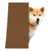 Responde como perro  Mov 22